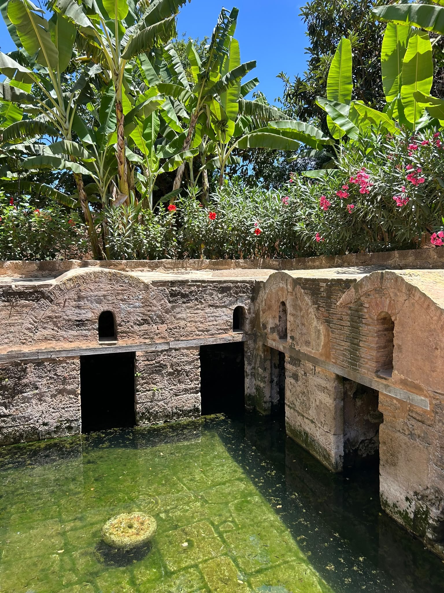 Chellah, vestiges et jardins