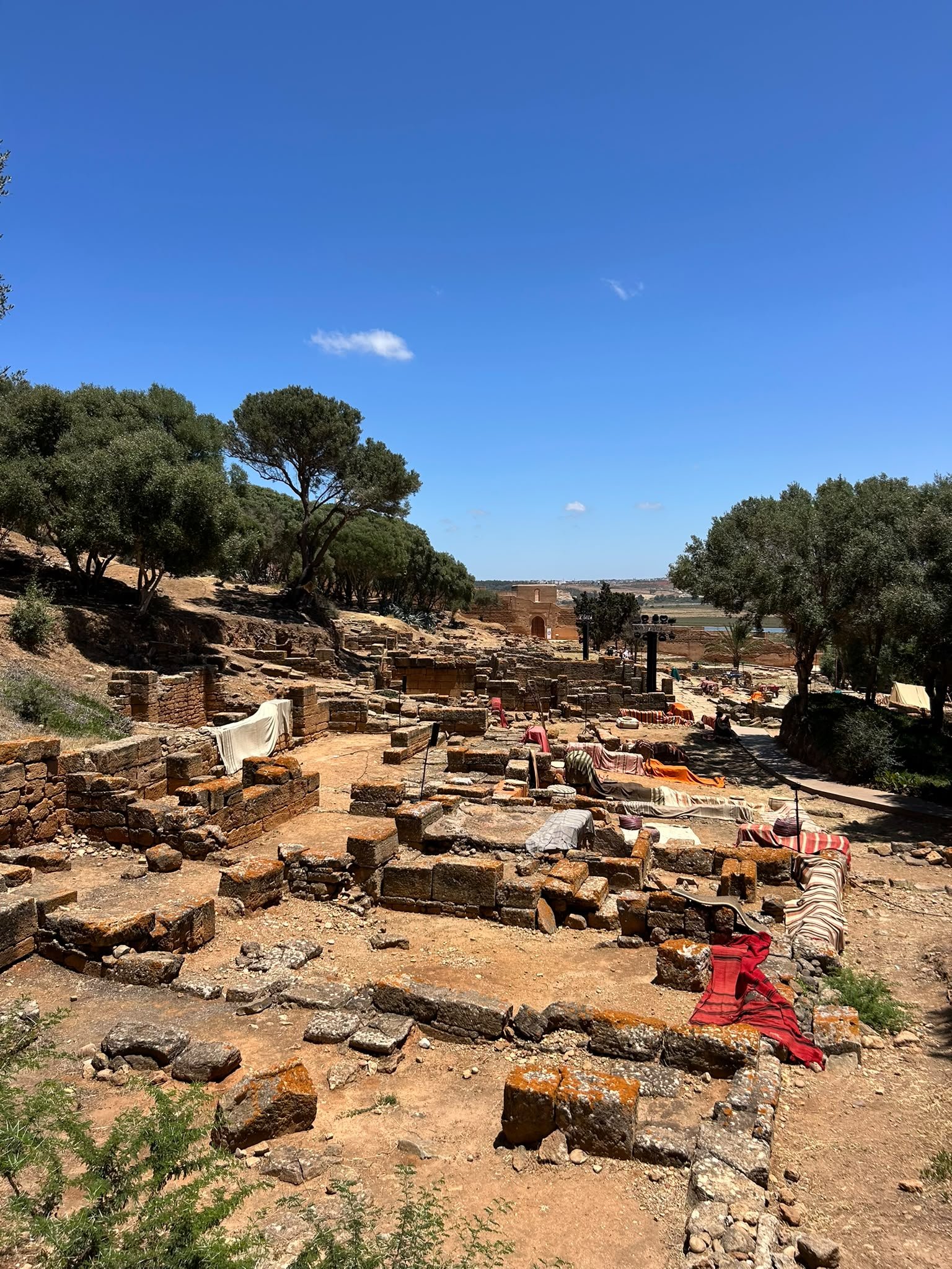 Chellah, vestiges et jardins