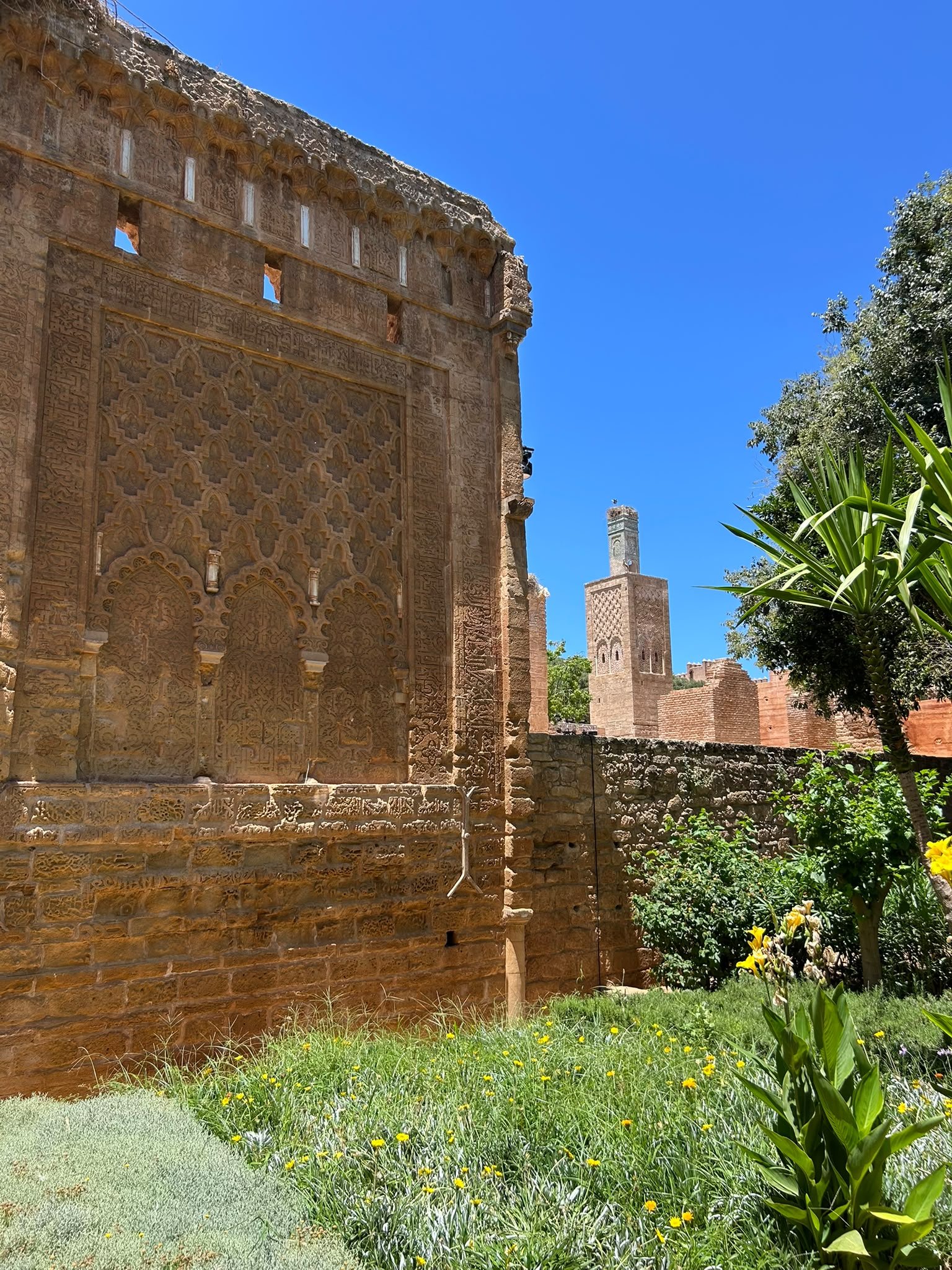 Chellah, vestiges et jardins