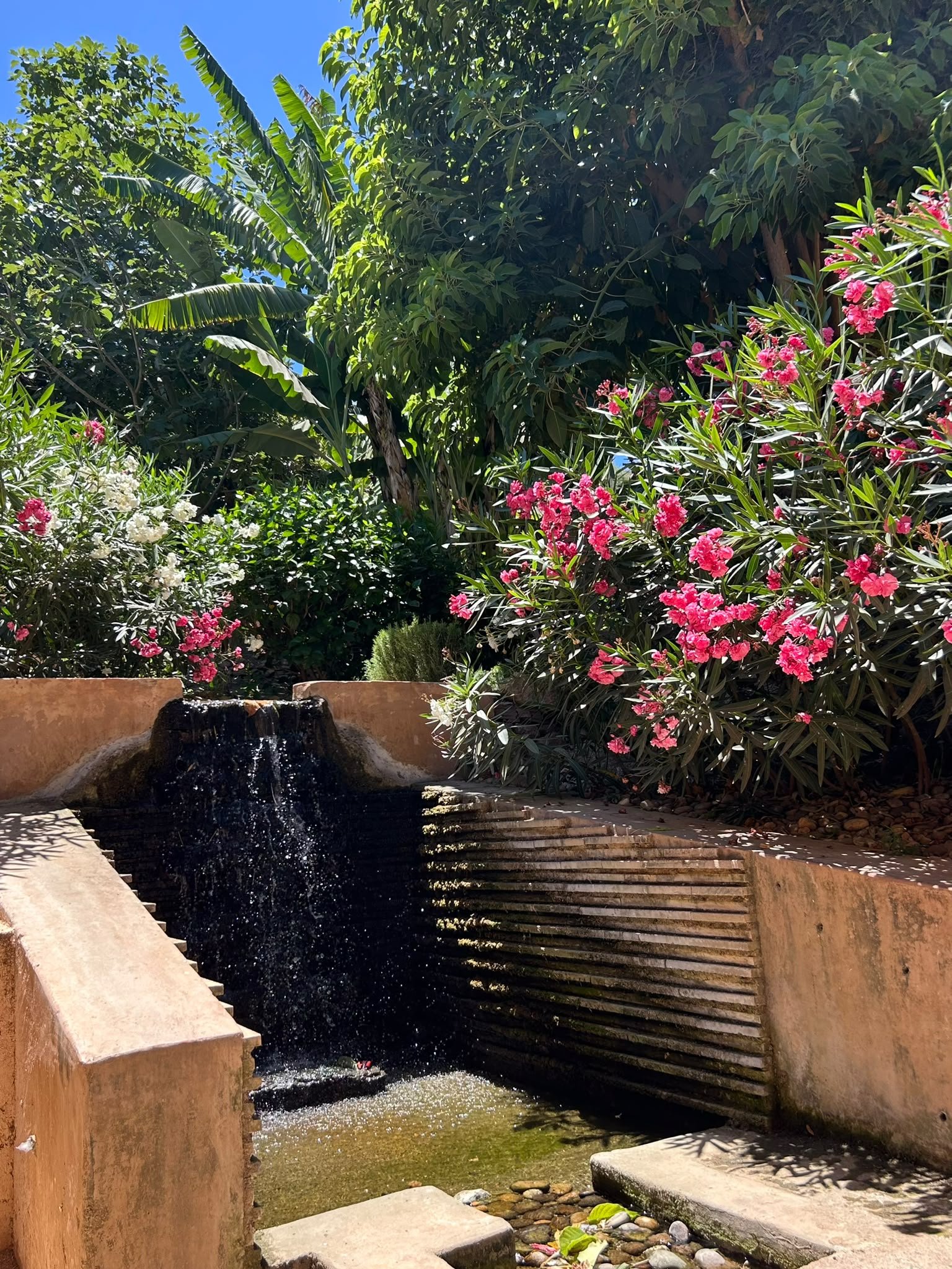 Chellah, vestiges et jardins