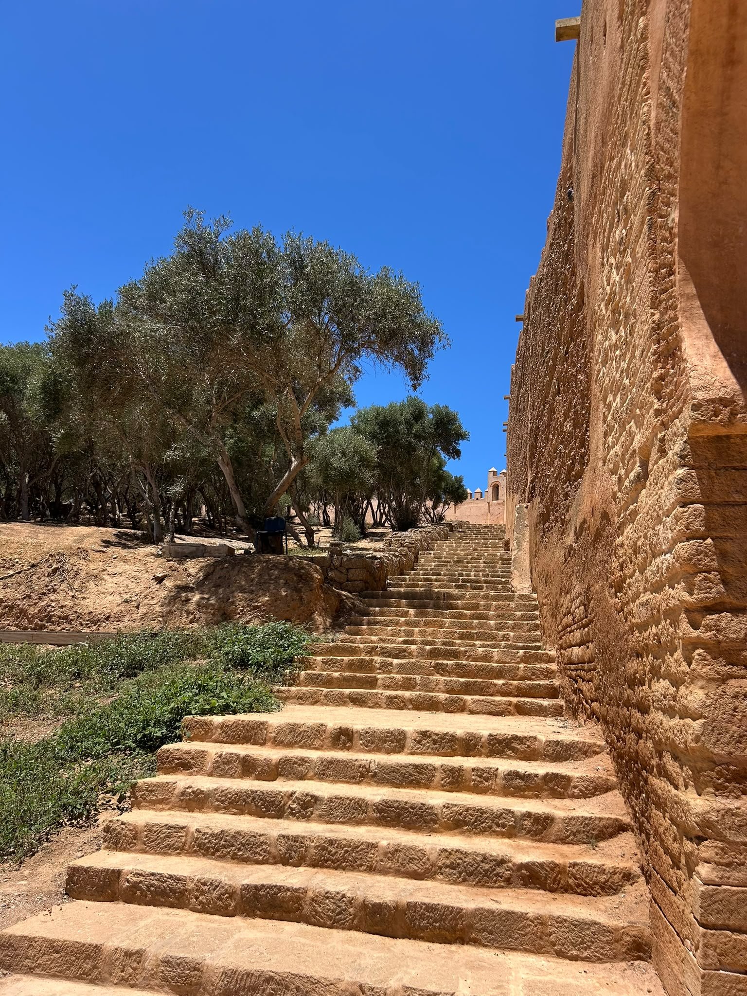 Chellah, vestiges et jardins