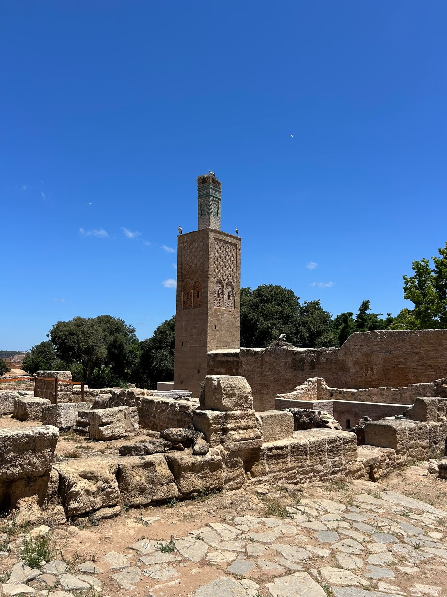 Chellah, vestiges et jardins