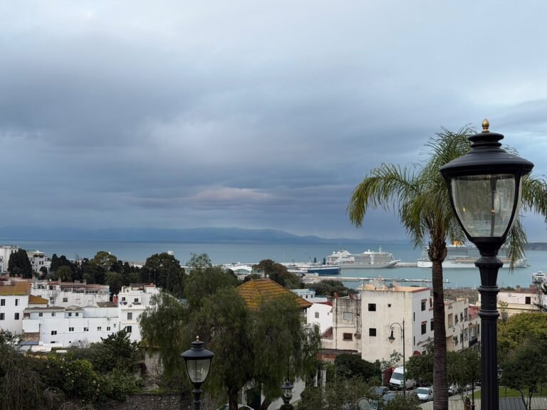 Vue sur la baie de Tanger et le détroit de Gibraltar, avec le port et des navires de croisière