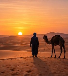Désert du Maroc